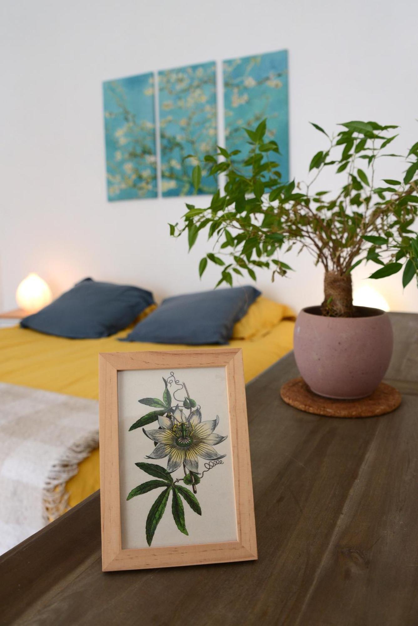 Le Pied-a-terre Du Botaniste Apartment Hauteville-Lompnes